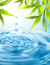 Example content image using the class .alignright